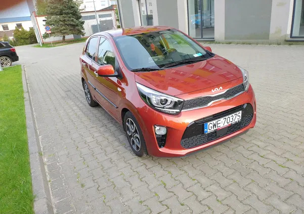 Kia Picanto cena 69900 przebieg: 18000, rok produkcji 2022 z Wejherowo małe 154